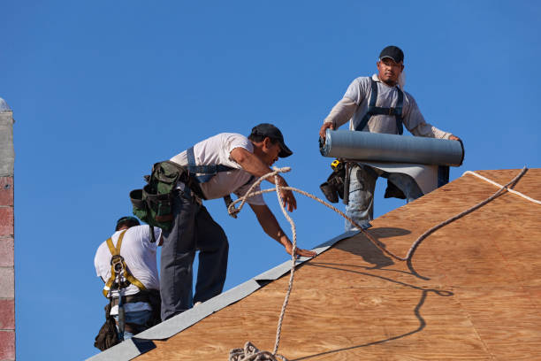 Best Gutter Installation and Roofing  in Hartwell, GA